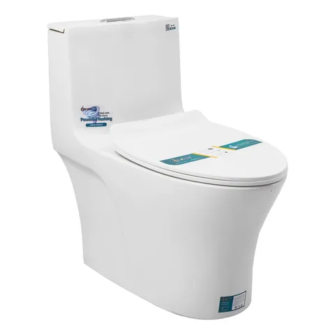 Bồn Cầu 1 Khối Đặt Nền B-1101