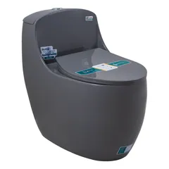 Bồn Cầu 1 Khối Đặt Nền B-1109G – ảnh 1