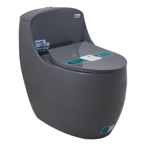 Bồn Cầu 1 Khối Đặt Nền B-1109G